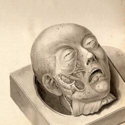 I Am the Mind, Dissected