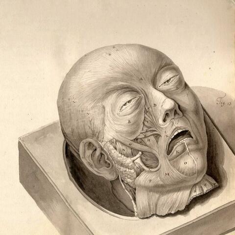 I Am the Mind, Dissected