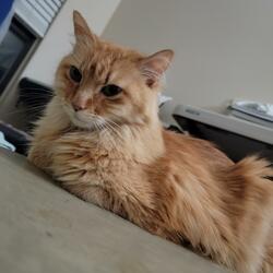 I see the light part 3