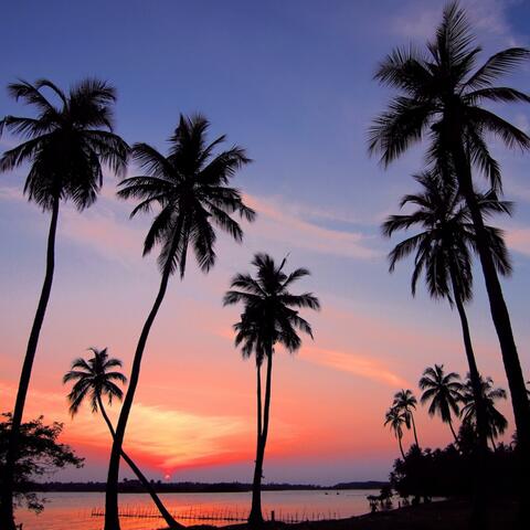 Ocean Road In Deep House