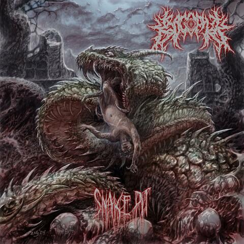 Snake Pit (feat. Mats Funderud)