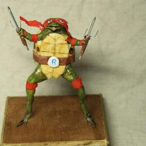 Johnny karate