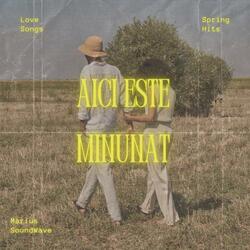 Aici Este Minunat