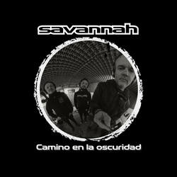 Camino en la oscuridad