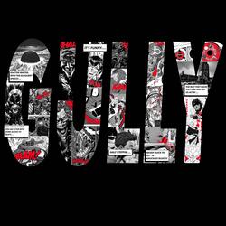 Gully