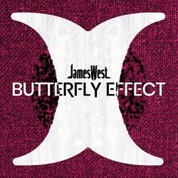 Butterfly Effect
