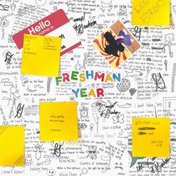 Freshman Year