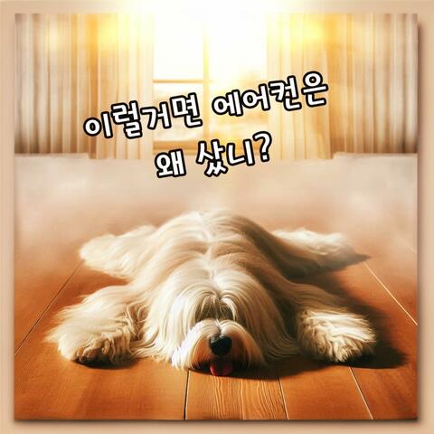 이럴거면 에어컨은 왜 샀니?