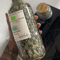 Dream Big or Die Down