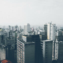 wild roof