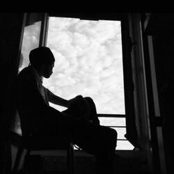 Du haut de ma fenêtre