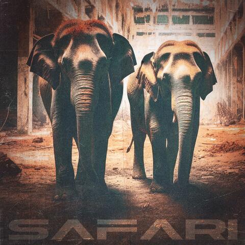 Safari