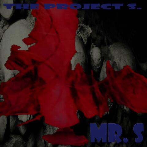 Mr. S