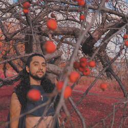 Chapter 3. Take My Olive Branch