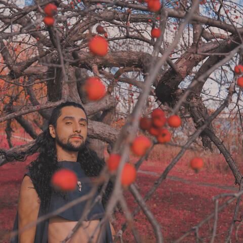 Chapter 3. Take My Olive Branch