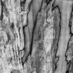 Passing (Exhale Version)