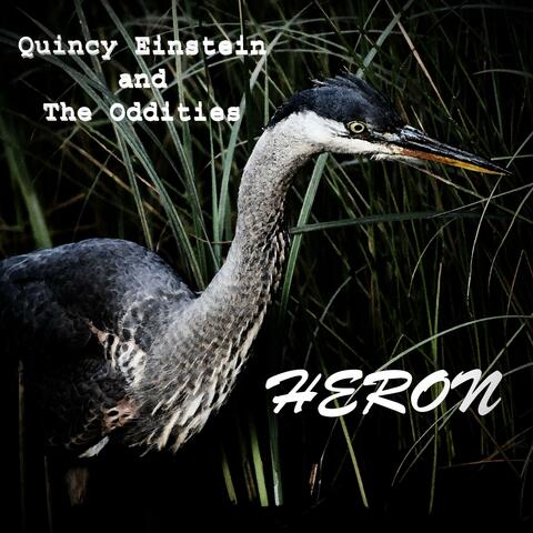Heron