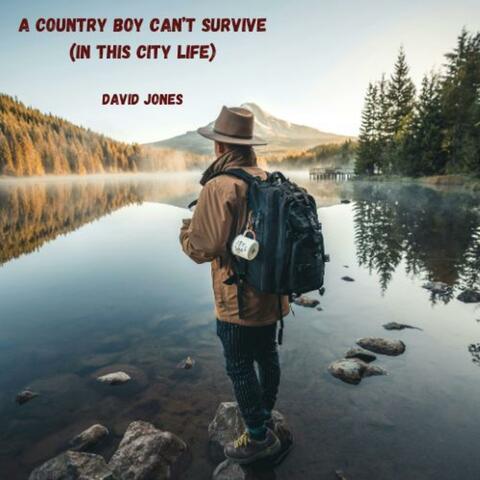 A Country Boy Can't Survive (In This City Life)