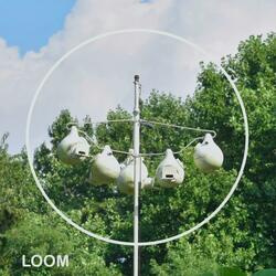 Zoochosis