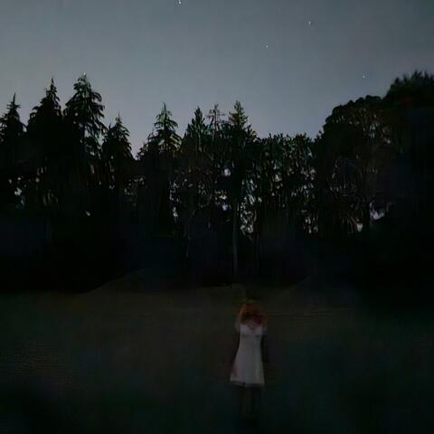 Before I Wake