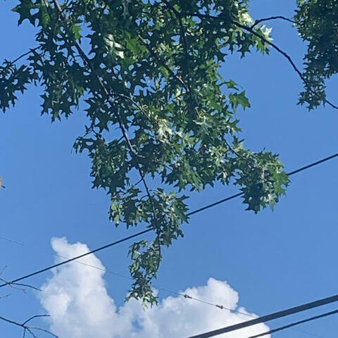 our hearts will break in due time, and the pieces will fall to the floor like shattered glass from my apartment window