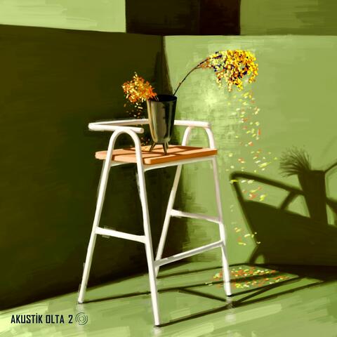Olta 12 | Akustik II