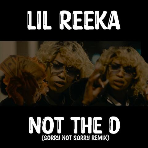 Not the D (Sorry Not sorry remix)
