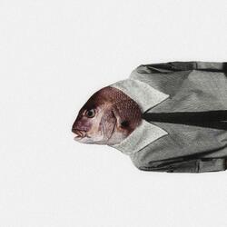 FISH-EYE (feat. NeS)