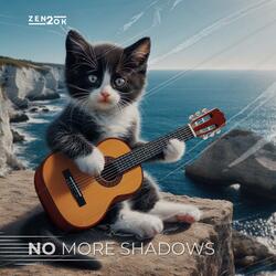 No more shadows