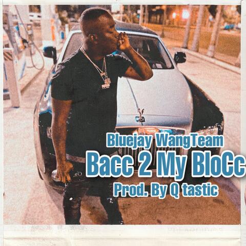 Bacc 2 My Block (feat. Q Tastic)