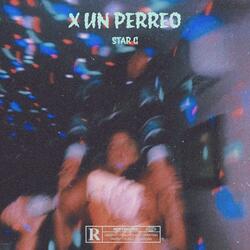 X UN PERREO