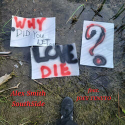 Let our Love Die (feat. Joey Tenuto)