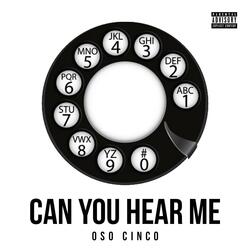 Can You Hear Me