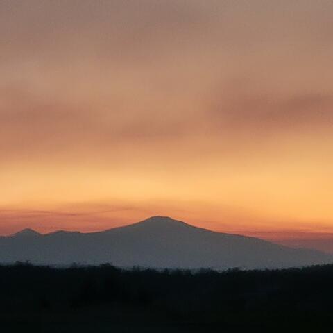 I'll be with you in love