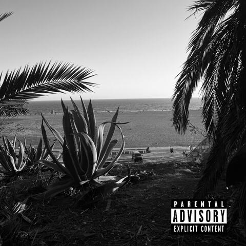 Lost in Mind (feat. SonderZzz)