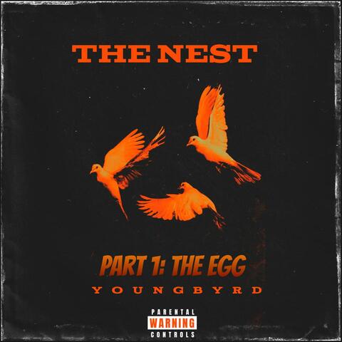 THE NEST (Part 1: The Egg)