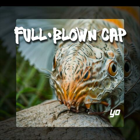 Full-Blown Cap (Radio Edit)