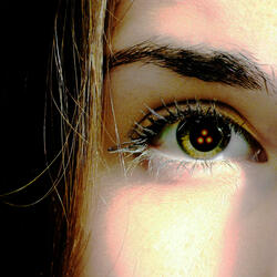 Augen