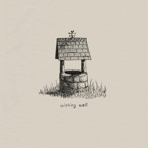 Wishing well