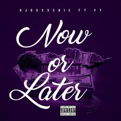 Now or Later (feat. VT)