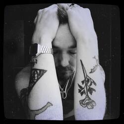 Brúnaljósin brúnu