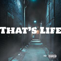 That's Life (feat. Termanology)