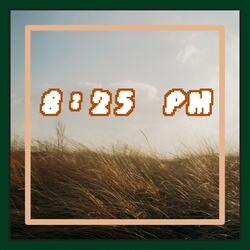 8:25 PM