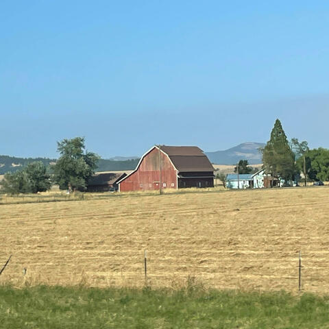 Isolophobia vocal and instrumetal