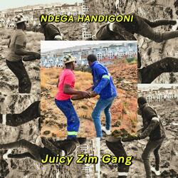 Ndega Handigoni (PTRM, Elliot D)