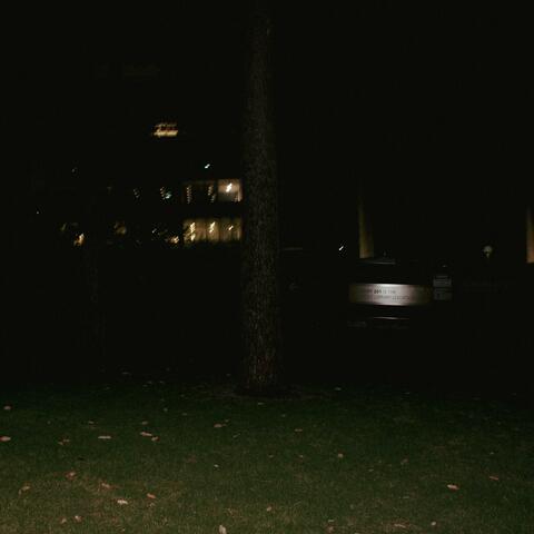 a moth in love with the moon