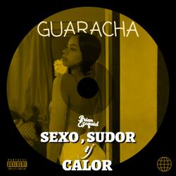 Sexo,Sudor Y Calor (Guaracha) (feat. Frankko Rmx)