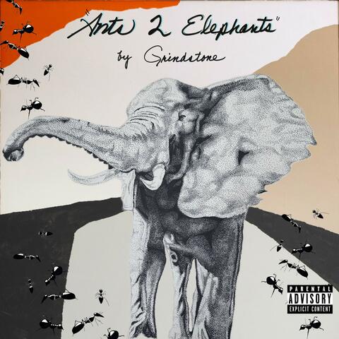 Ants 2 Elephants
