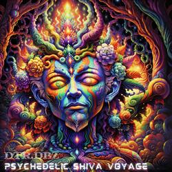 Mystic Shiva Beats