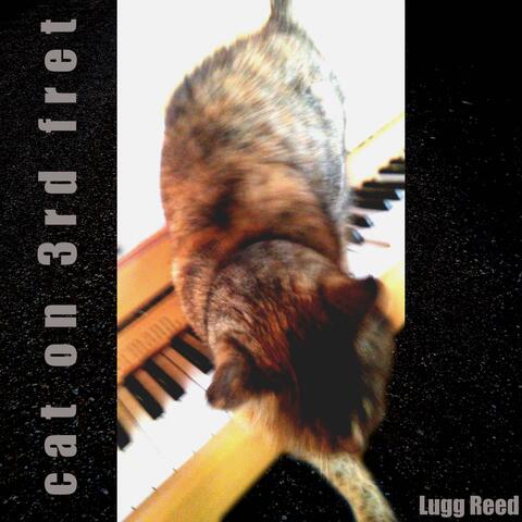cat on 3rd fret